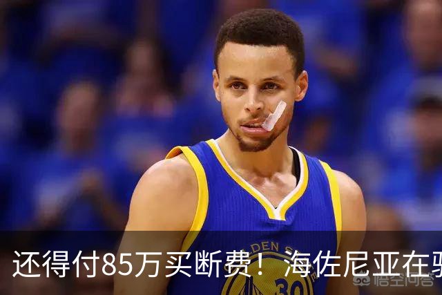 还得付85万买断费！海佐尼亚在骑士年薪280万美元 远不如皇马时期